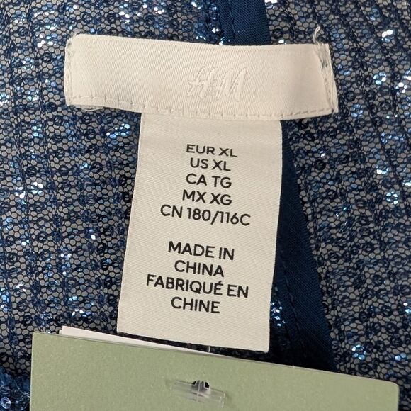 H&M Blue Sheer Sequin Long Sleeve Scoop Neck Mini Party Dress X-Large XL NWT - Picture 7 of 10